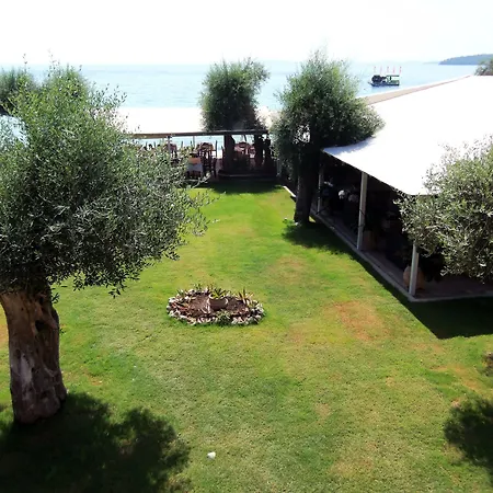 Scheria 2* Dassia (Corfu)