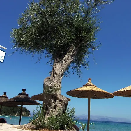 Scheria Dassia (Corfu)