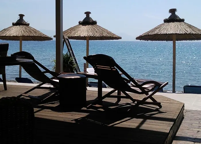 Scheria Ξενοδοχείο Δασιά